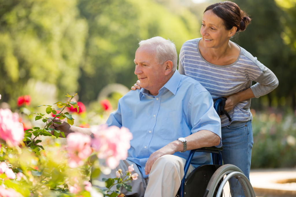 Un aidant baladant son proche atteint d'alzheimer en fauteuil roulant dans un jardin fleuri